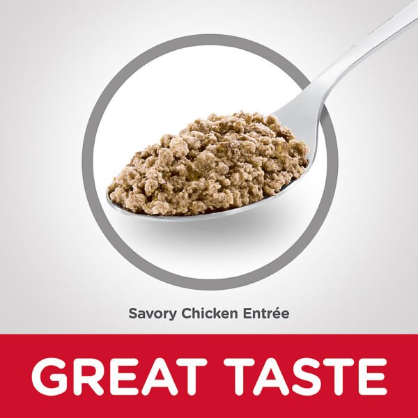 Adult Wet Cat Food Minced 667b4fa1c6a19